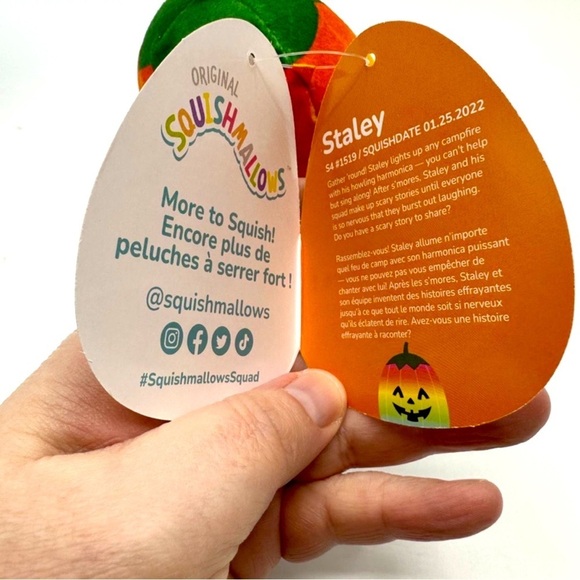 NWT Squishmallows Staley the Rainbow Pumpkinβ 4β - Picture 8 of 9